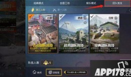 和平精英最新爆料一周年,荣耀回顾与未来展望